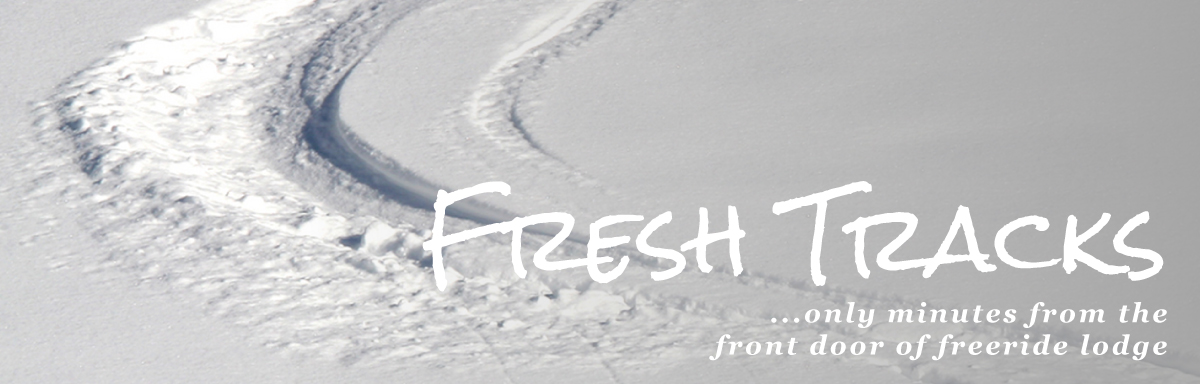 Fresh tracks... only minutes from the front door of freeride lodge